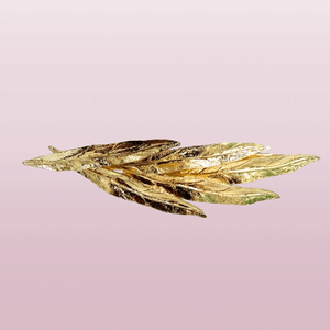 Barrette à cheveux - feuille laurier - Bobart - accessoires cheveux et barrettes