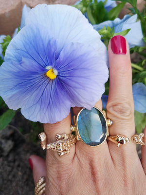 Bague Canyon Roma Labradorite et argent