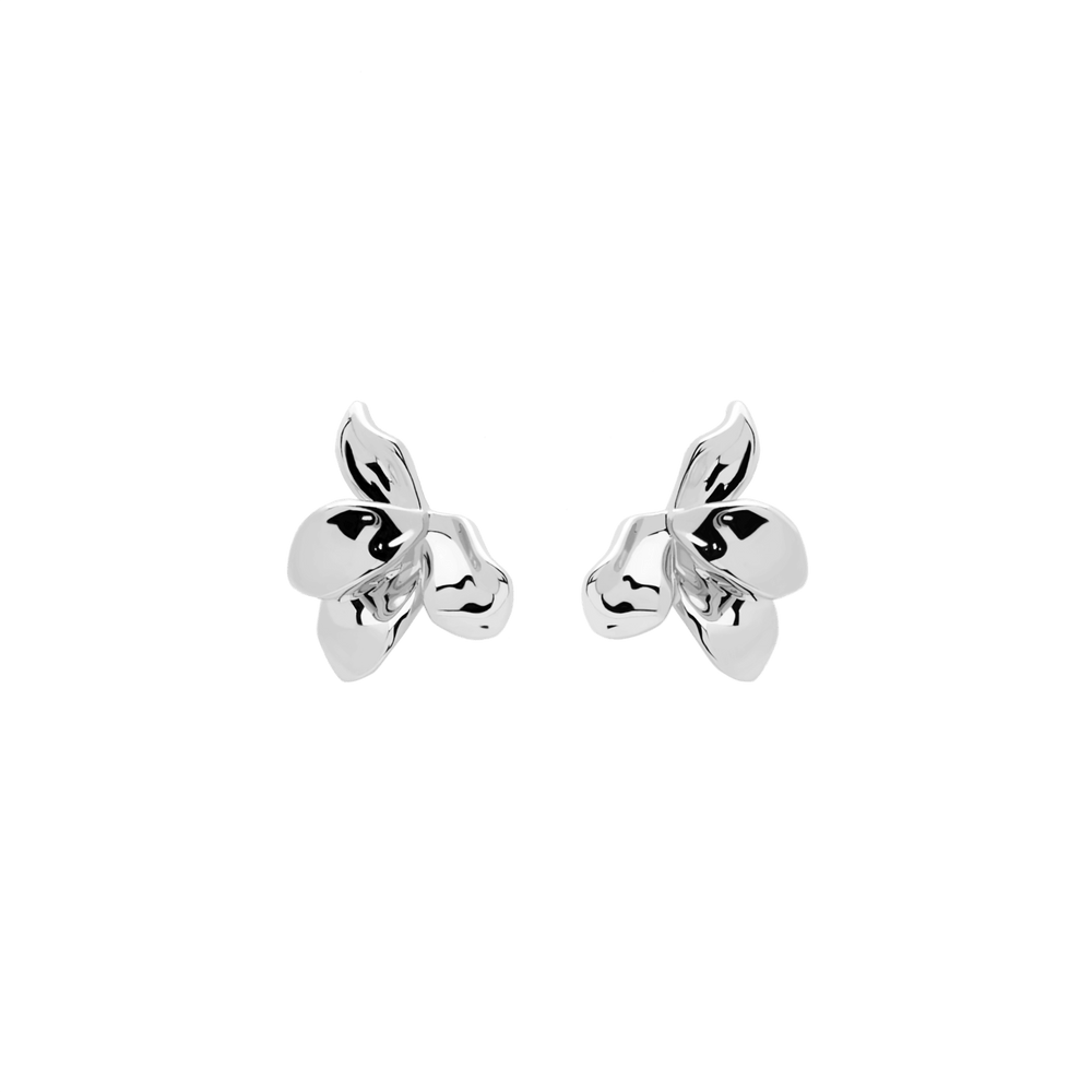 Boucles d'oreilles NARCISSE - argent