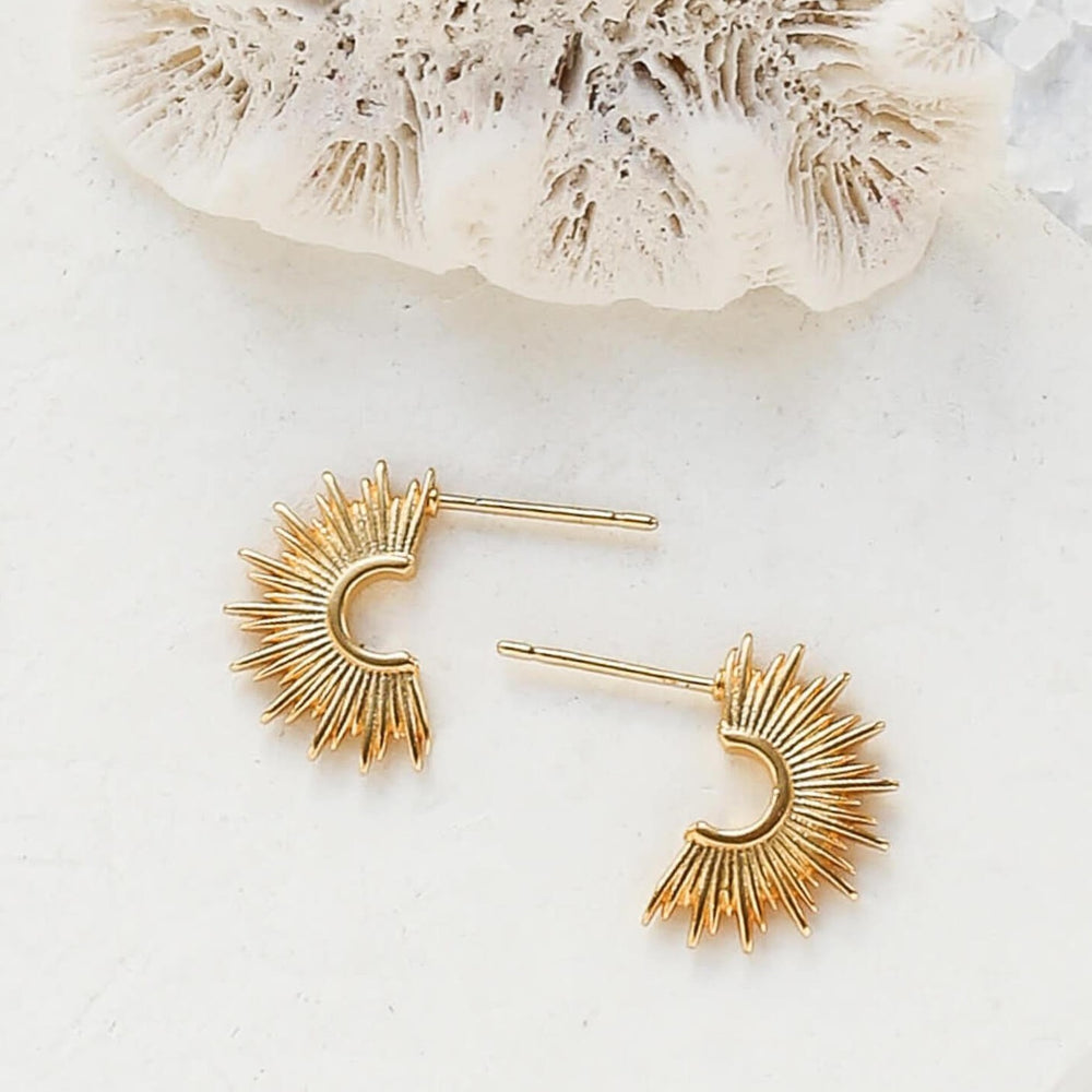 Boucles d'oreilles puces NYX
